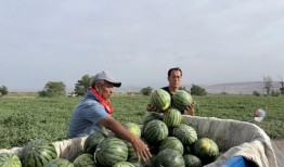 吃瓜网-免费吃瓜万里长征,吃瓜网带你畅游娱乐盛宴